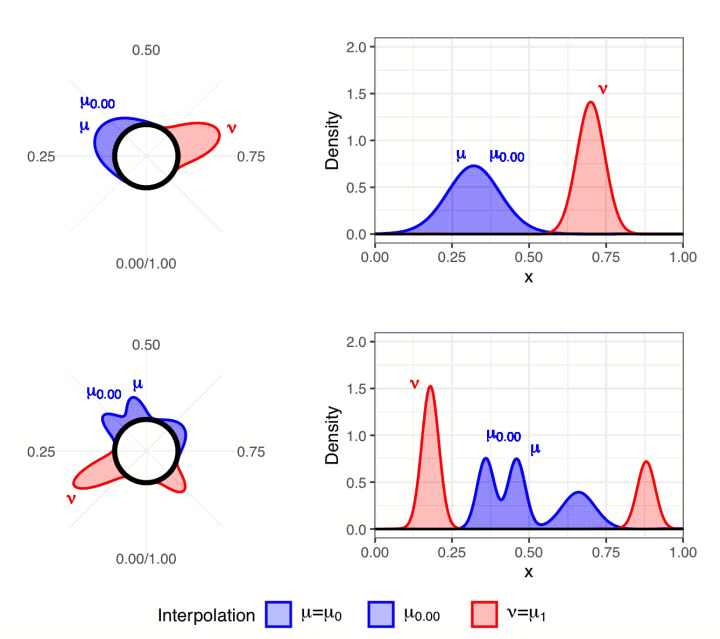 Image 1_OT_Morphing